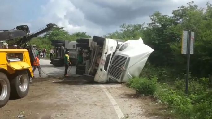 "Los cerditos ya no comerán"