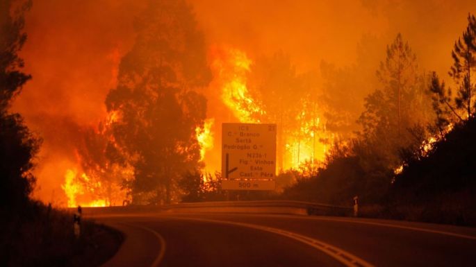 Más de 60 muertos en Portugal por un incendio forestal
