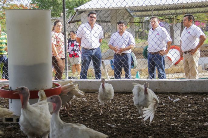 Adolescente ejemplo en su comunidad por crianza de pavos de engorda