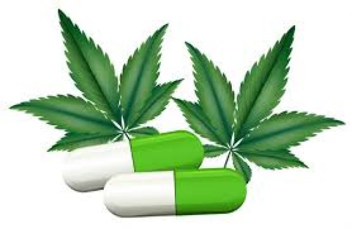 Legal el uso de la mariguana medicinal en México
