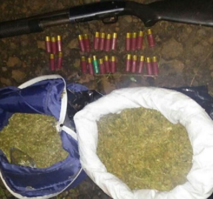 Se enfrentan policías y delincuentes en Michoacán, decomisan marihuana.