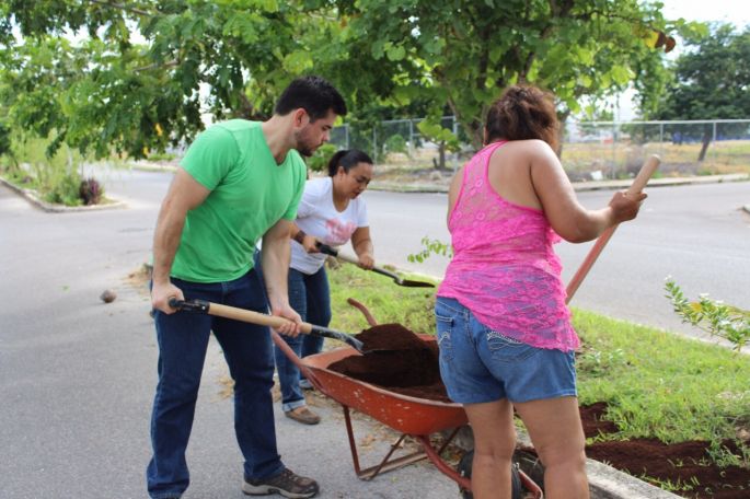 Diputado Verde apoya en labores de reforestación.