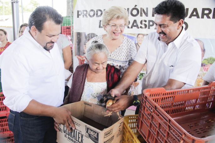 Aves de traspatio: Beneficio directo al bolsillo de las familias