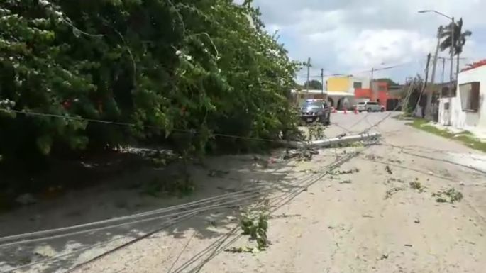 "Camión con conductor despistado tira postes y deja a parte de la Colonia Jesús Carranza, sin luz"