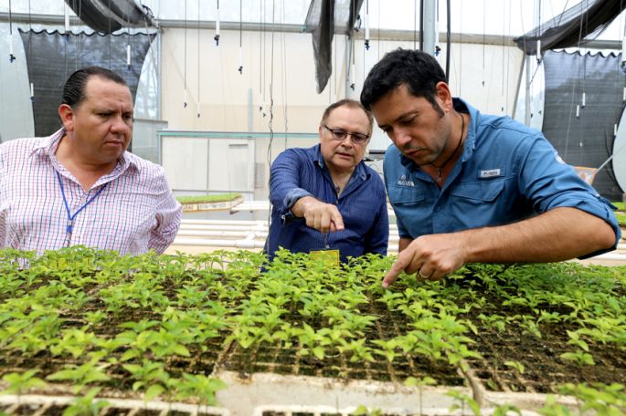 La Sefoe impulsa proyectos que fortalecen la cadena de valor del chile habanero.