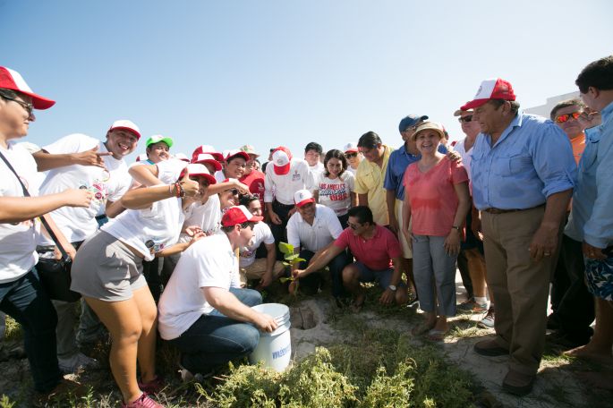 Plan de recuperación de playas rinde frutos.