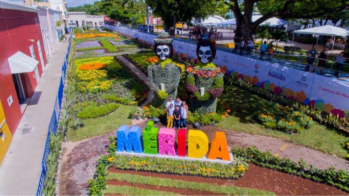 Inaugura el alcalde, Mauricio Vila Dosal, el camino de flores “Encuentro con las Ánimas”