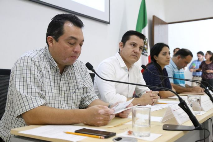 Comisión se reunirá con especialistas en Salud Mental
