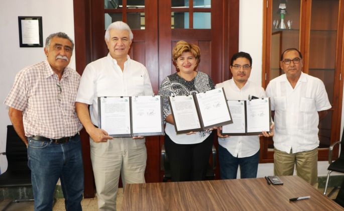 Gabriela Cáceres Vergara rechaza ser postulada por el PRI a una diputación local