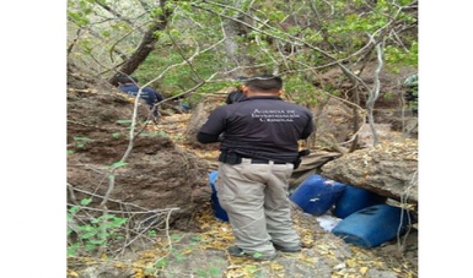Desmantelan un laboratorio clandestino en Sinaloa