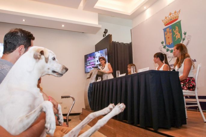 El Ayuntamiento de Mérida presenta el sitio web adopta.com.mx