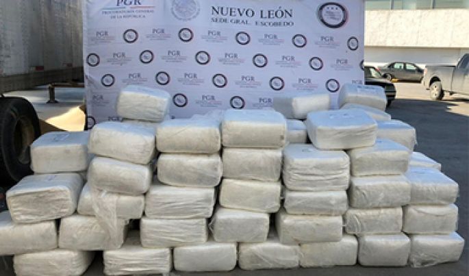 Decomisa la PGR una tonelada de marihuana en Nuevo León