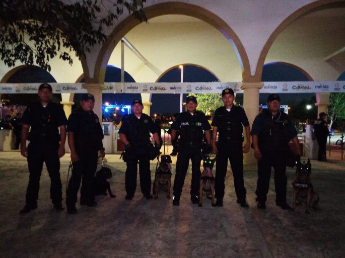 Policía Municipal de Mérida reporta viernes de corso sin incidencias