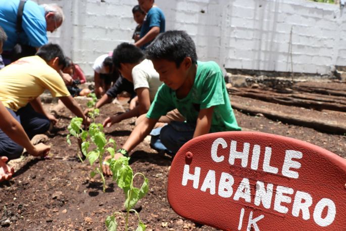 La UADY lidera proyecto en contra la pobreza y el hambre