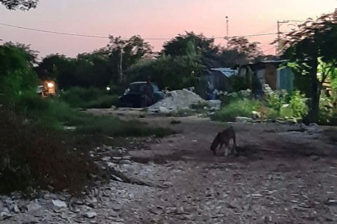 Lo que no verán los Premios Nobel de la Paz reunidos en Mérida