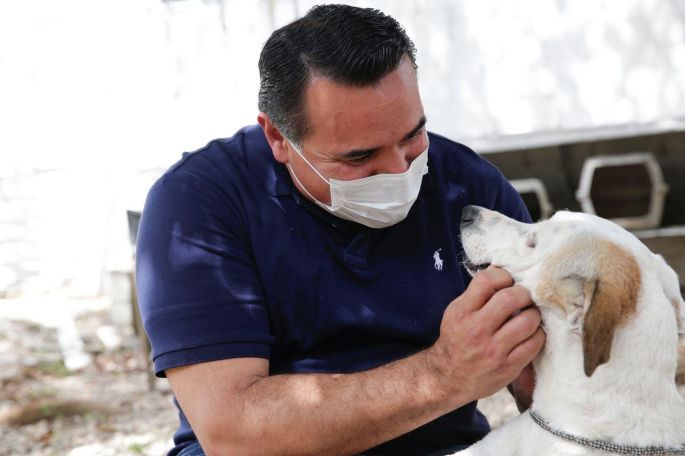 Mérida tiene buen avance en la protección y bienestar animal, afirma el alcalde Renán Barrera