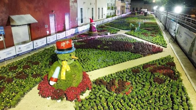 Inicia la exhibición “Paseo Navideño de las Flores” en parque de La Mejorada de Mérida