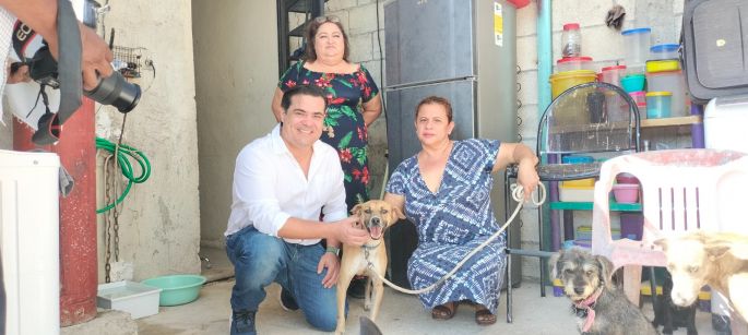 Chino, perrito sagrado de Kukulkán, ya tiene hogar digno: lo recibieron con besos y abrazos