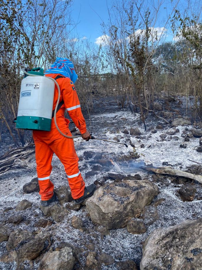 Con 190 reportes de incidentes inició temporada de incendios en Yucatán, informa Procivy
