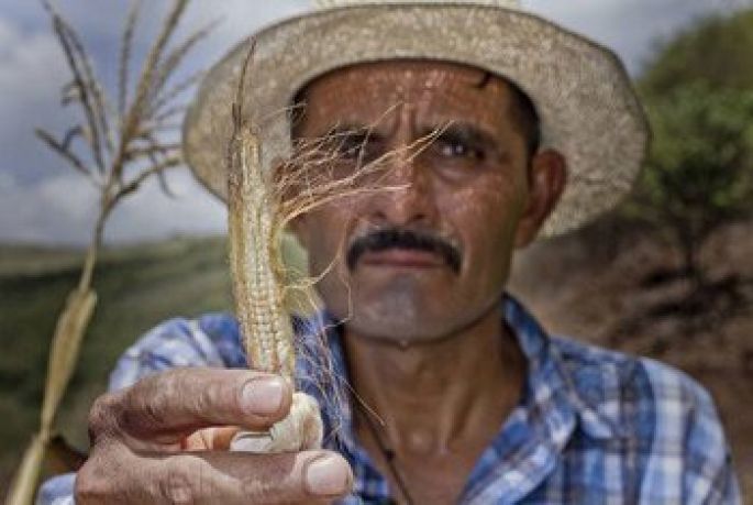 Arranca un Plan para hacer frente a El Niño en América Latina