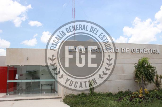 Por el robo de un celular fue imputado y se quedará en prisión