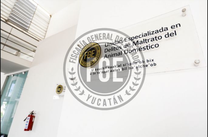 Pareja vinculada a proceso por maltrato animal en Baca
