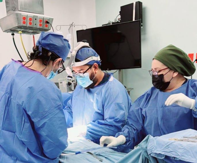 Realiza IMSS Yucatán 42 trasplantes de órganos en lo que va de 2024