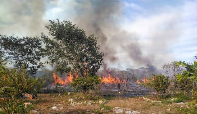 Yucatán preparado para la temporada de incendios