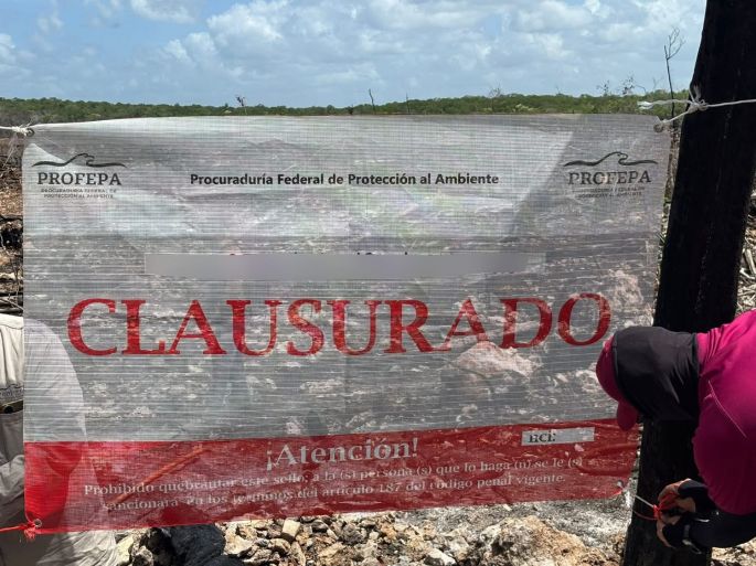 Clausura Profepa desmonte ilegal en más de 2,600 hectáreas de selva en Yucatán, Campeche y Quintana Roo