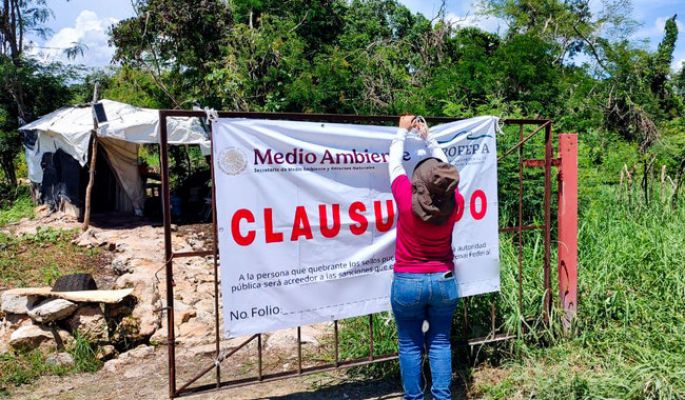 Clausura total definitiva a la granja porcícola Pecuaria Peninsular, en Santa María Chi
