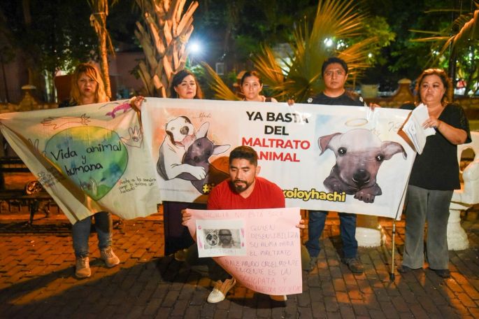 Indignación en Mérida: marchan por justicia para Sicilia y contra la ola de crueldad animal
