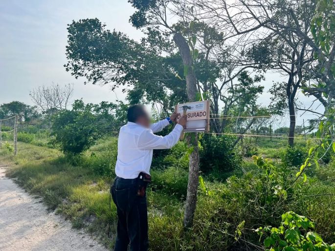 Clausuran 3 predios por cambio ilegal de uso de suelo en la Reserva de la Biosfera Ría Celestún, en Yucatán