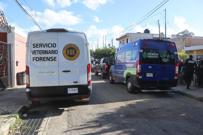 Fiscalía inicia indagatoria tras presunto caso de maltrato animal