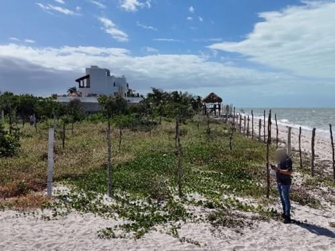 Profepa clausura obras ilegales en dos días predios de la Reserva de la Biósfera Ría Celestún