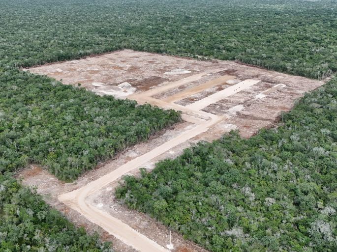 Clausuran ampliación de granja avícola por cambio ilegal de uso de suelo en Kinchil