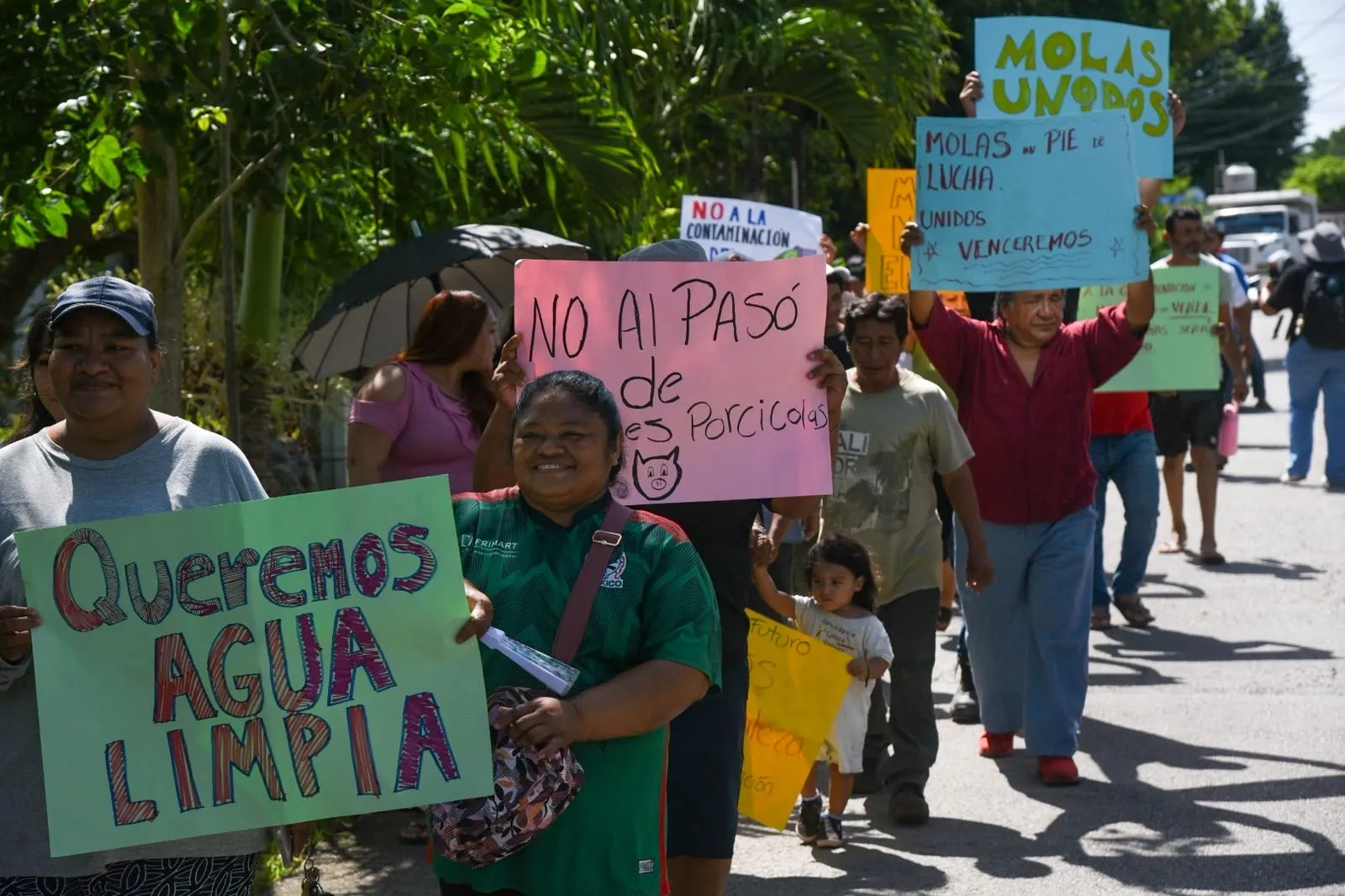 Molas se levanta contra las granjas porcícolas; vecinos bloquean camión con lechones