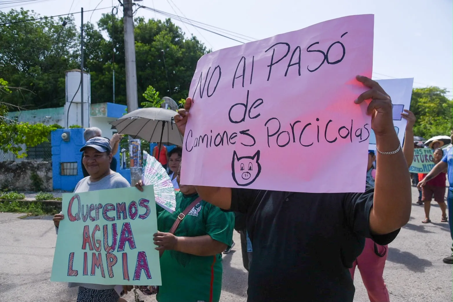 Ordenan inspecciones ambientales en granjas porcícolas tras amparo de comunidades mayas