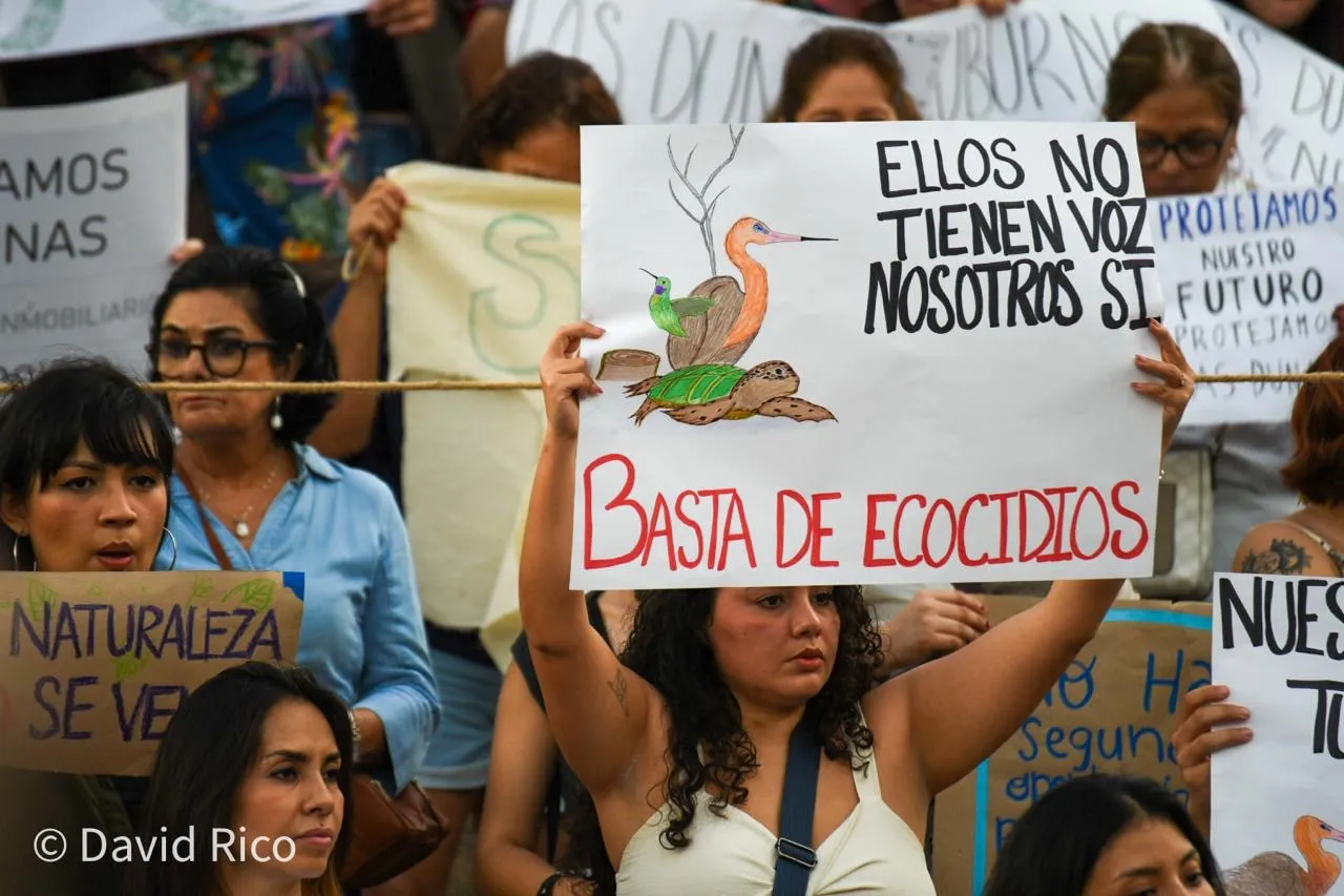Protestan en Mérida contra desarrollo inmobiliario en las dunas de Chuburná