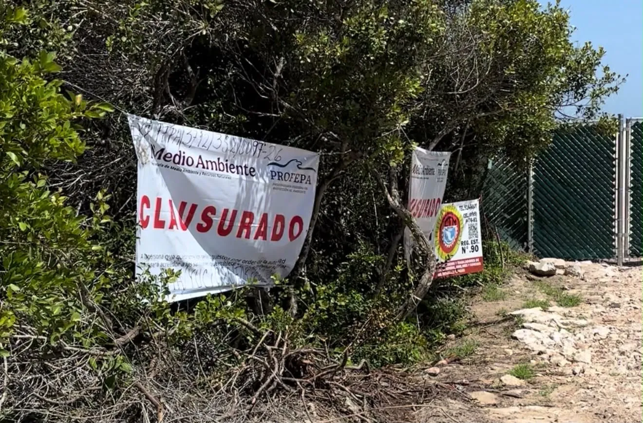 Confirma Profepa daños ambientales y clausura proyecto Las Dunas en Chuburná Puerto