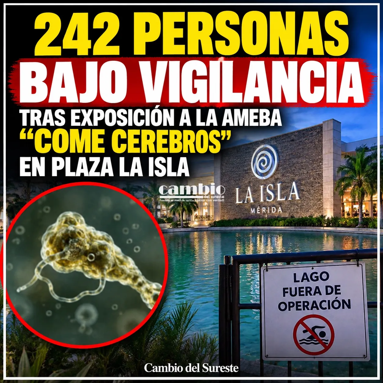 242 personas bajo vigilancia tras exposición a la ameba “come cerebros” en Plaza La Isla
