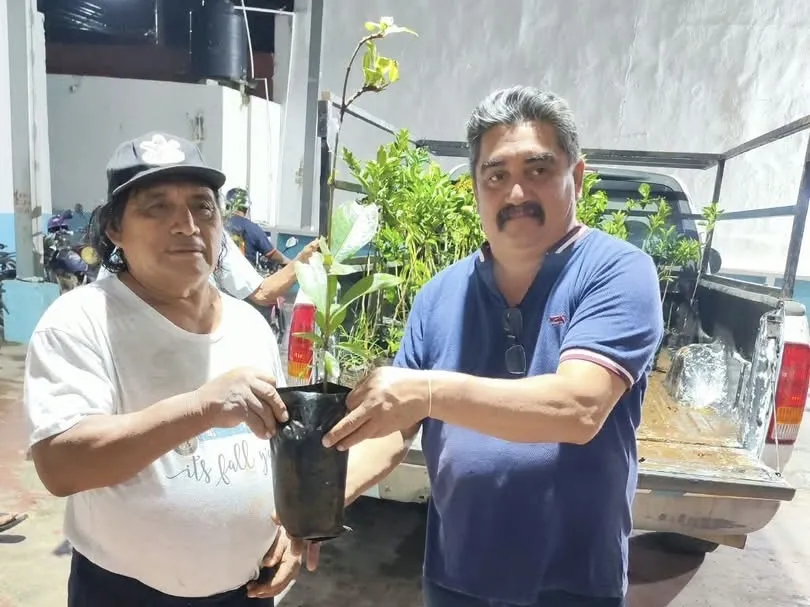 Impulsan la producción agrícola en Suma con entrega de árboles frutales